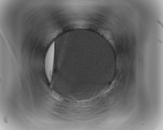 X0000097790017200803211831