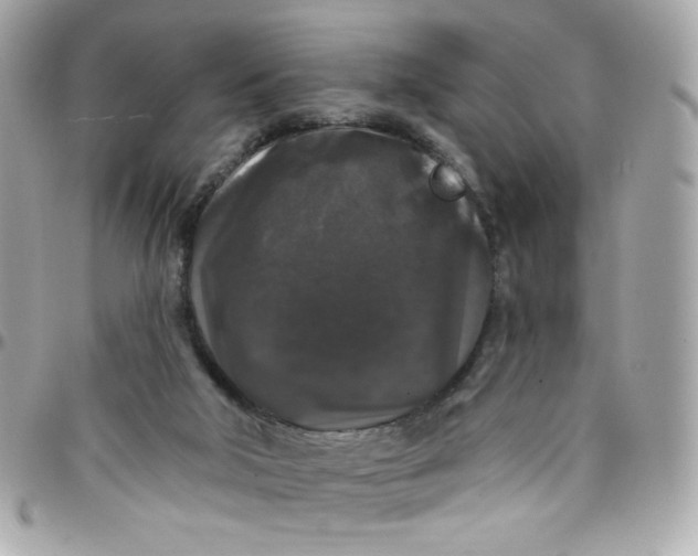 X0000097790018200803211831