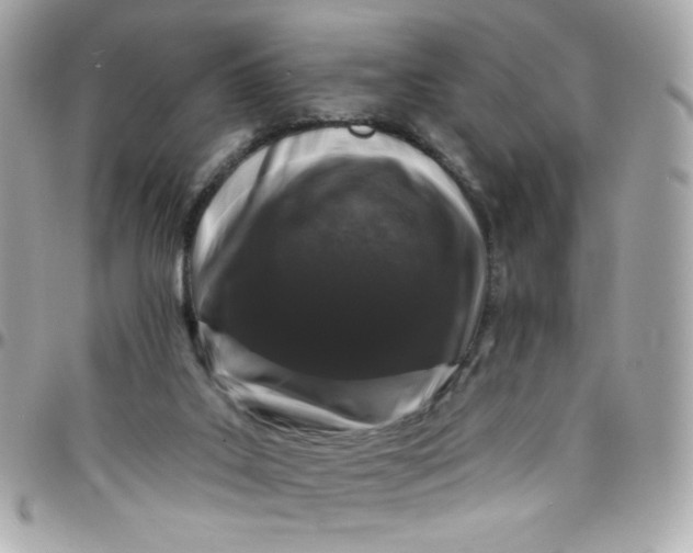 X0000097790019200803211831
