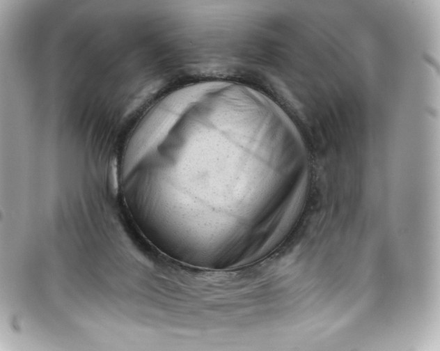 X0000097790020200803211831