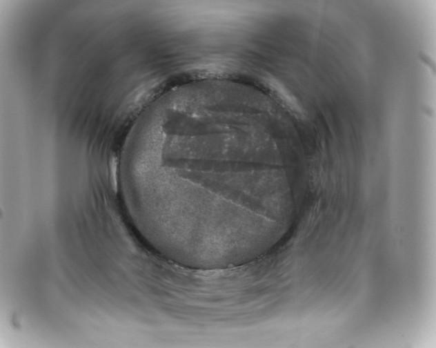 X0000097790022200803211831