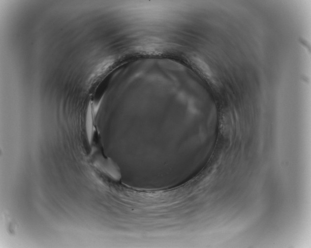 X0000097790023200803211831