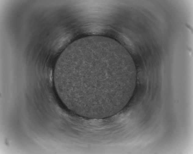 X0000097790024200803211830