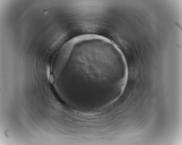 X0000097790027200803211830