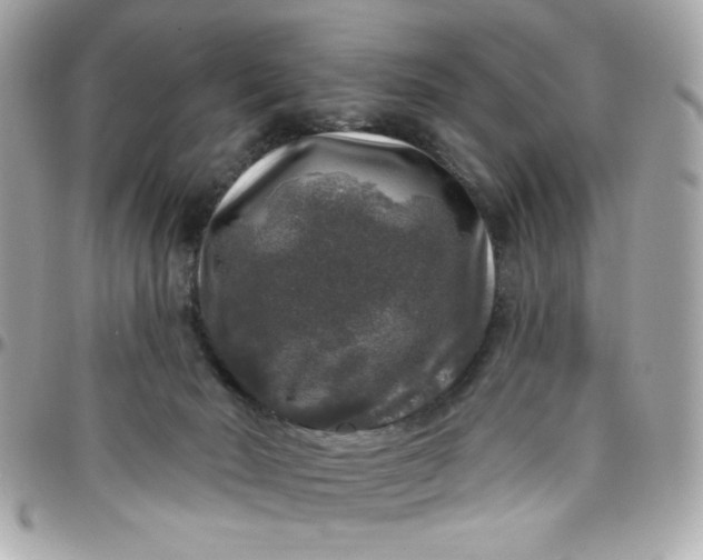 X0000097790030200803211830
