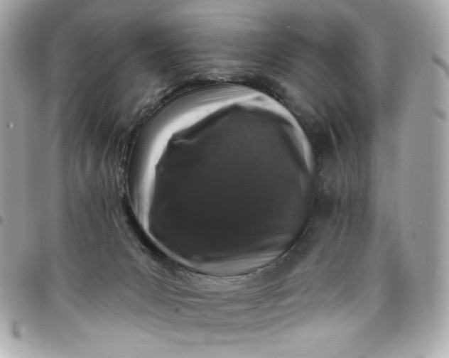 X0000097790031200803211830