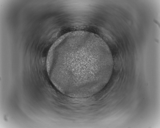 X0000097790034200803211830