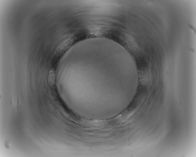 X0000097790036200803211830