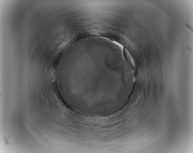 X0000097790043200803211830