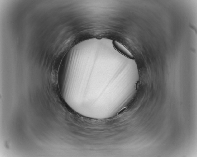 X0000097790044200803211830