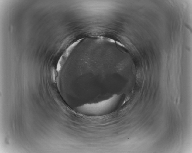 X0000097790046200803211830