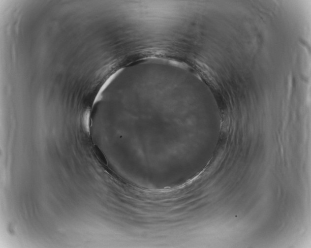 X0000097790047200803211830