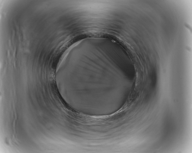 X0000097790048200803211830