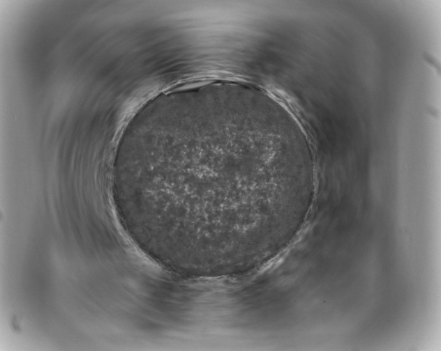 X0000097790049200803211829