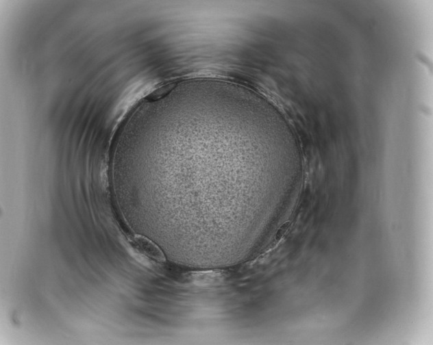 X0000097790050200803211830
