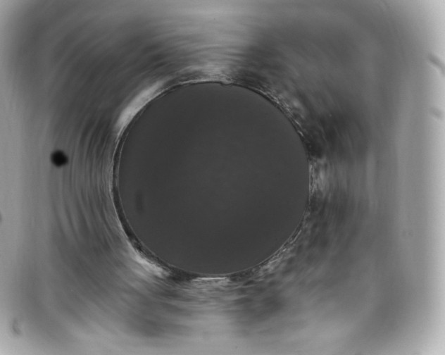 X0000097790051200803211830