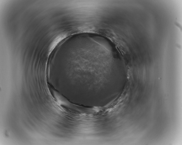 X0000097790052200803211830