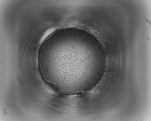 X0000097790054200803211830