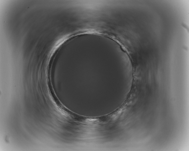 X0000097790055200803211830