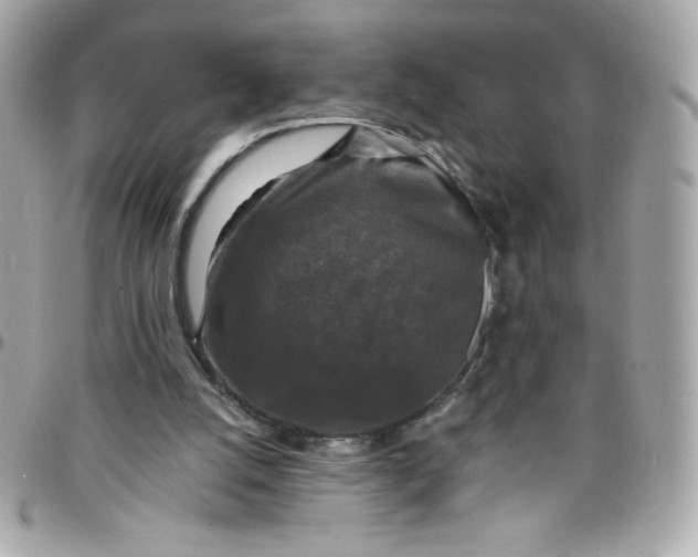 X0000097790056200803211830
