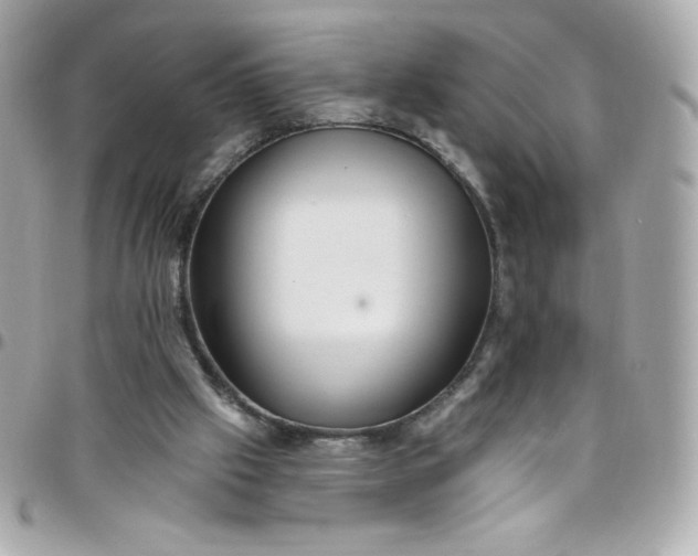 X0000097790057200803211830
