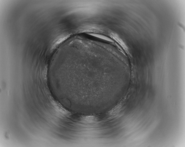 X0000097790058200803211830