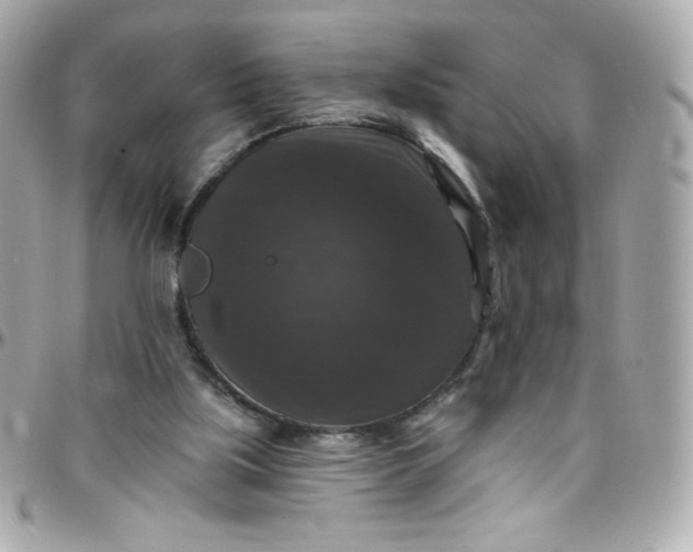 X0000097790059200803211830