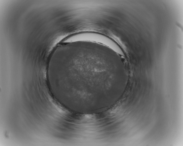 X0000097790060200803211830