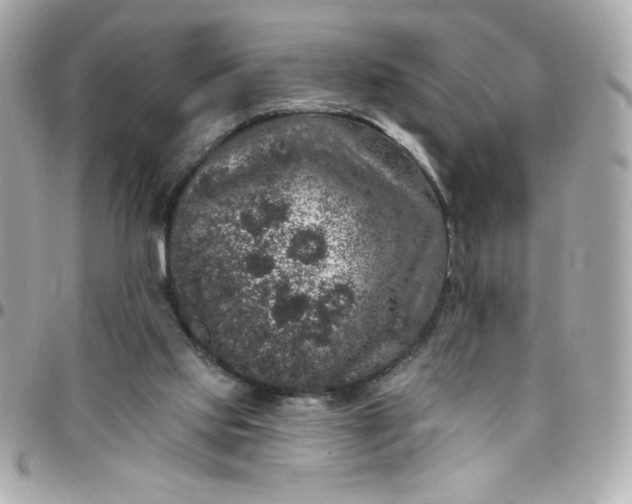 X0000097790061200803211830