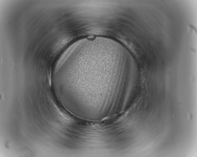 X0000097790062200803211830