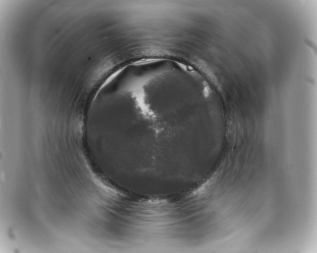 X0000097790063200803211830