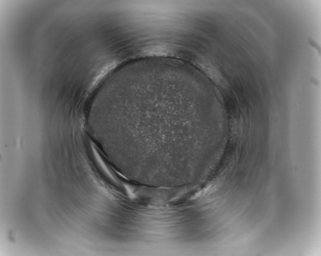 X0000097790064200803211830