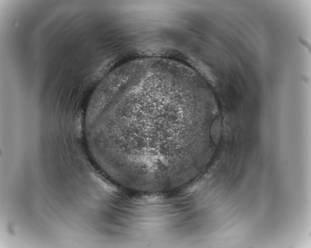 X0000097790065200803211830