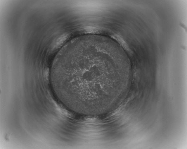 X0000097790066200803211830