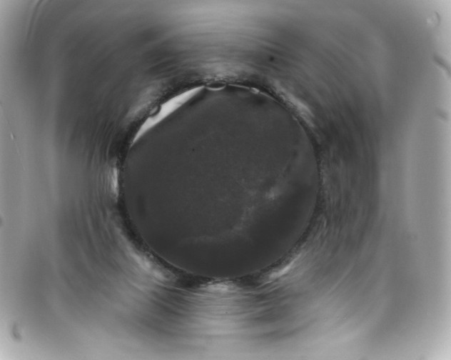 X0000097790067200803211830