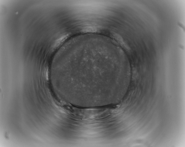 X0000097790068200803211830