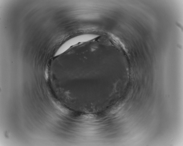 X0000097790069200803211830