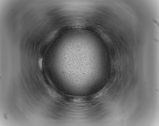 X0000097790070200803211830