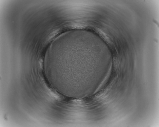 X0000097790071200803211830