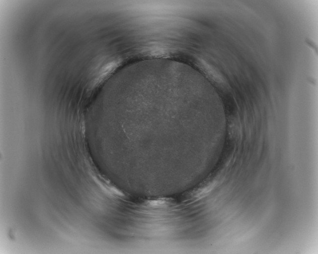 X0000097790072200803211830