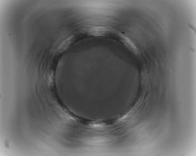 X0000097790073200803211830