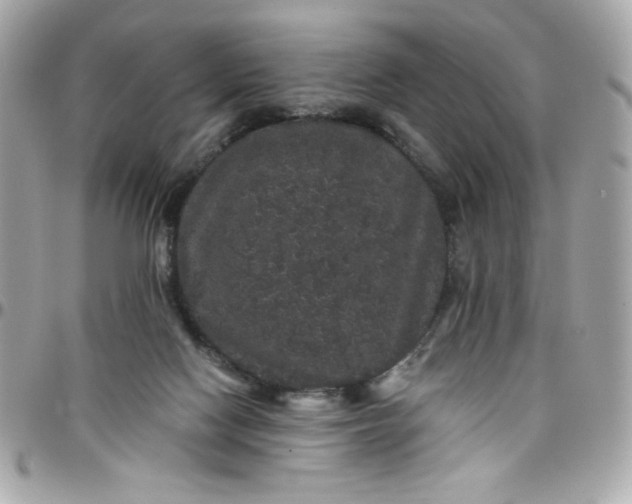 X0000097790074200803211830
