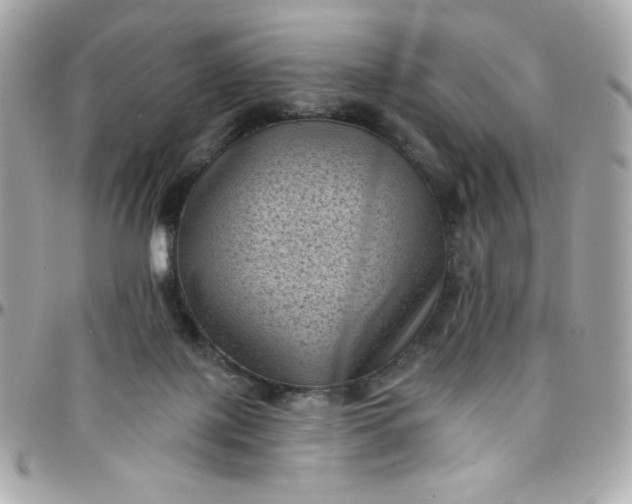 X0000097790075200803211830