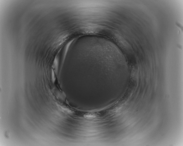 X0000097790076200803211830