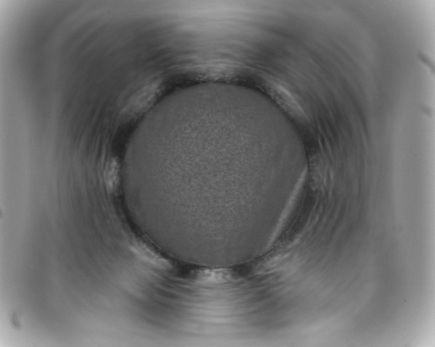 X0000097790077200803211830