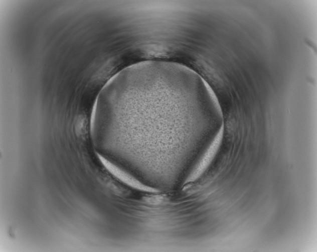 X0000097790079200803211830
