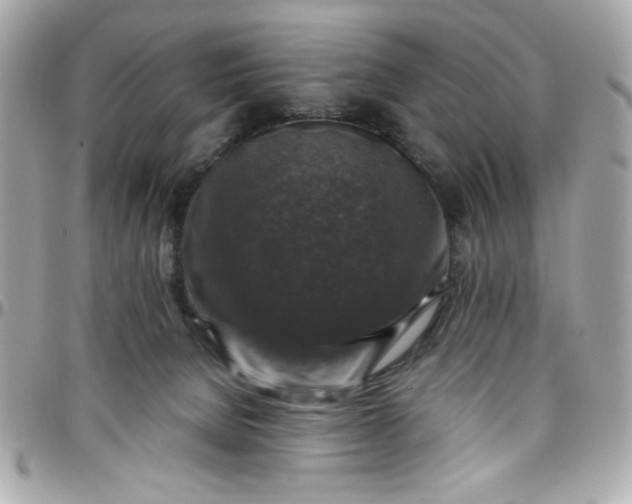 X0000097790080200803211830