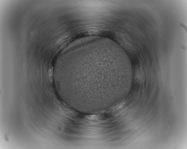 X0000097790082200803211830