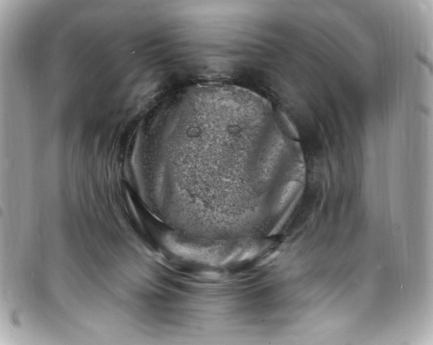 X0000097790084200803211830