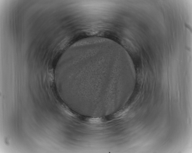 X0000097790085200803211830